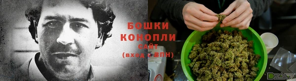 молекула духа Аркадак