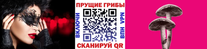 как найти закладки  Тавда  Псилоцибиновые грибы прущие грибы 